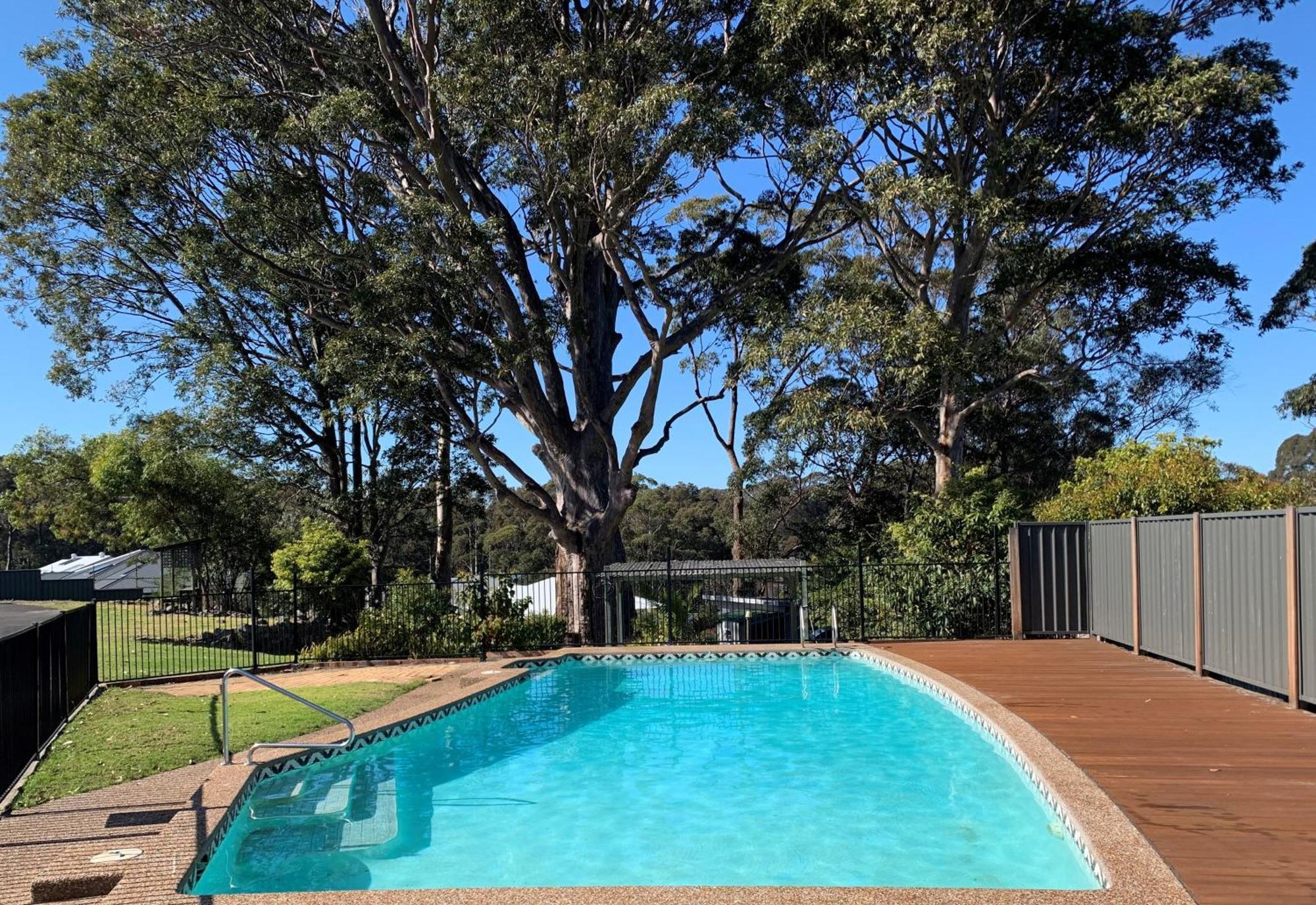 The Tree Motel Narooma Exteriér fotografie