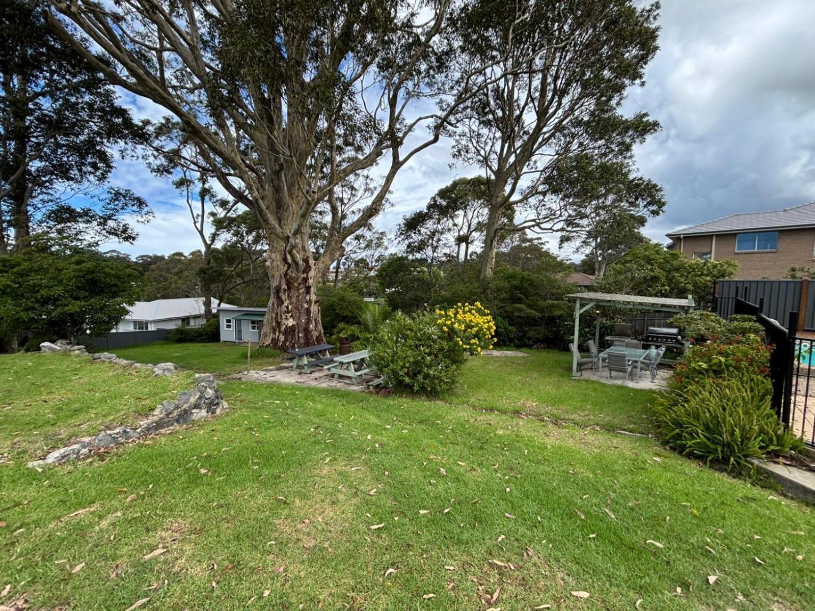 The Tree Motel Narooma Exteriér fotografie